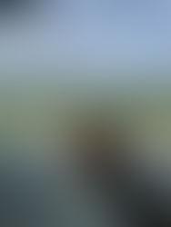 Costa Rica Uncovered: Arenal, Rainforests & Papagayo Shores