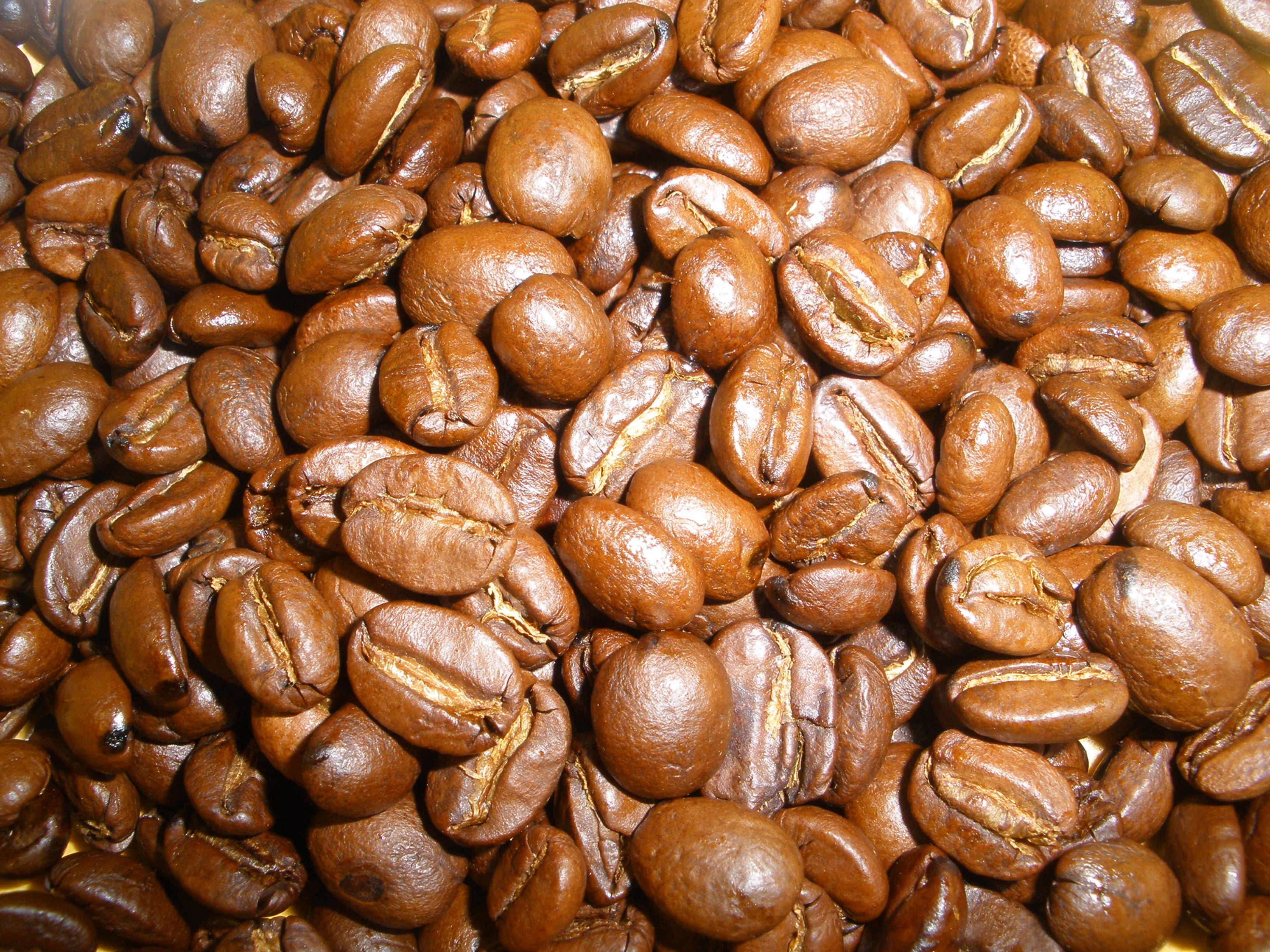 Ho Ho Hazelnut 1/2 lb bag