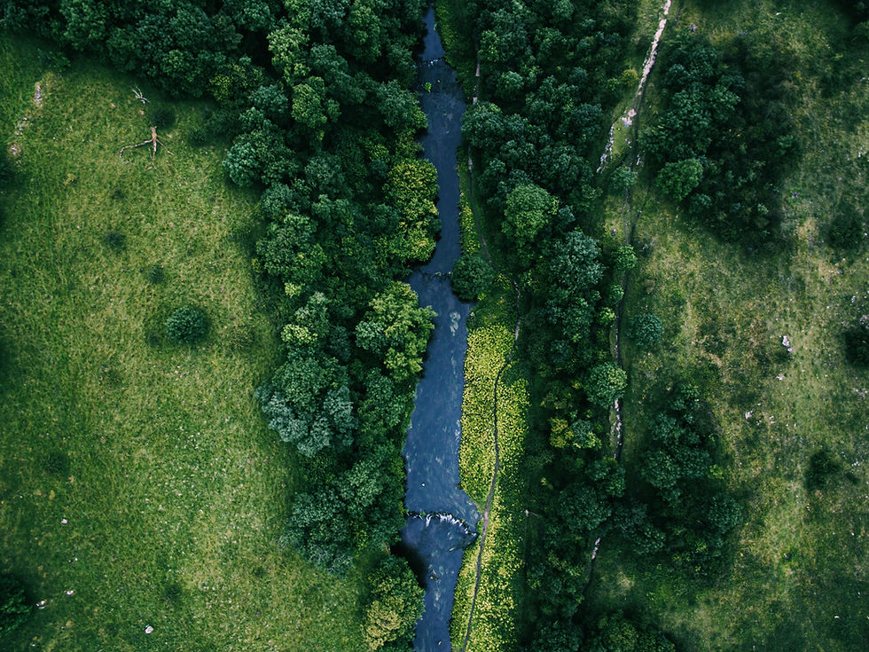 Aerial image of a river crossing a landscape of fields and trees by Lewis Latham
