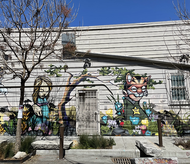 HAYES VALLEY NEIGHBORHOOD ASSOCIATION