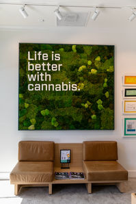 FILLMORE - Neighborhood Walk