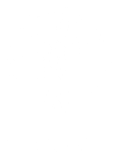SFCDMA-logo-WHT.png