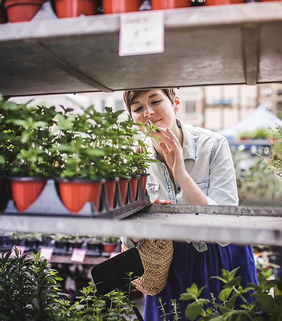 Woman Shopping at Plant Market
