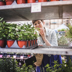 Woman Shopping at Plant Market
