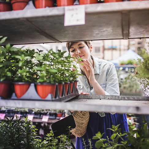 Woman Shopping at Plant Market