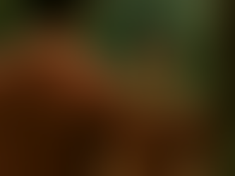 CONHEÇA-TE A TI MESMO