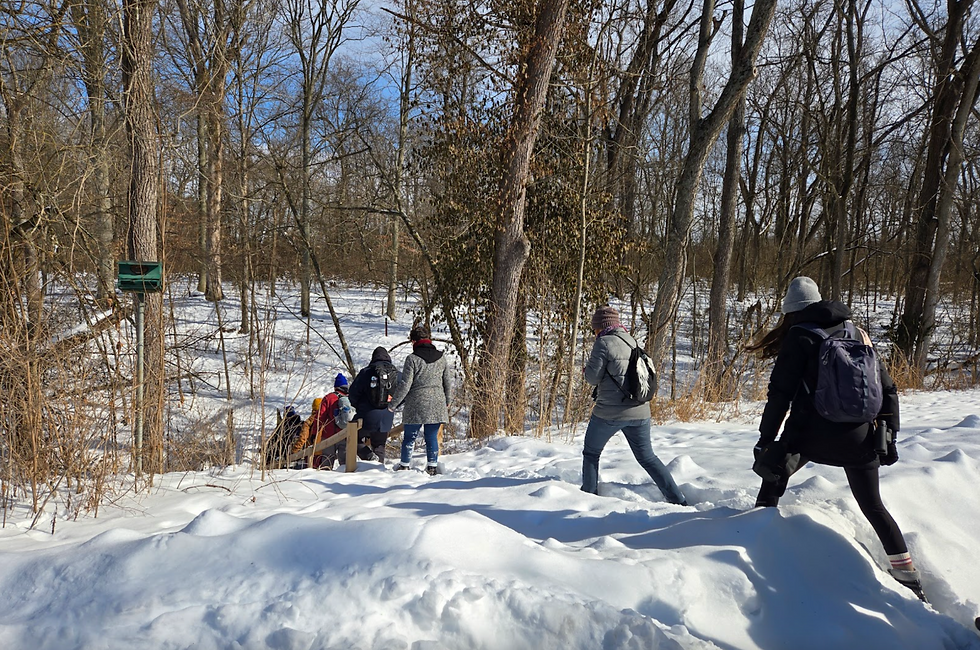 a group of people in coats walks through snow into a wooded area in daylight