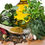 Thumbnail: Tuscan Herb EVOO