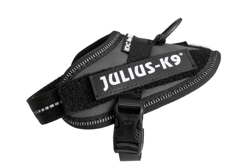 Thumbnail: JULIUS K9 IDC POWER HARNESS