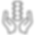 chiropractic (1).png