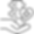 chiropractic.png