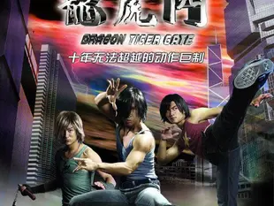 DTG Dragon Tiger Gate If you love martial arts action movies, you must watch Dragon Tiger Gate