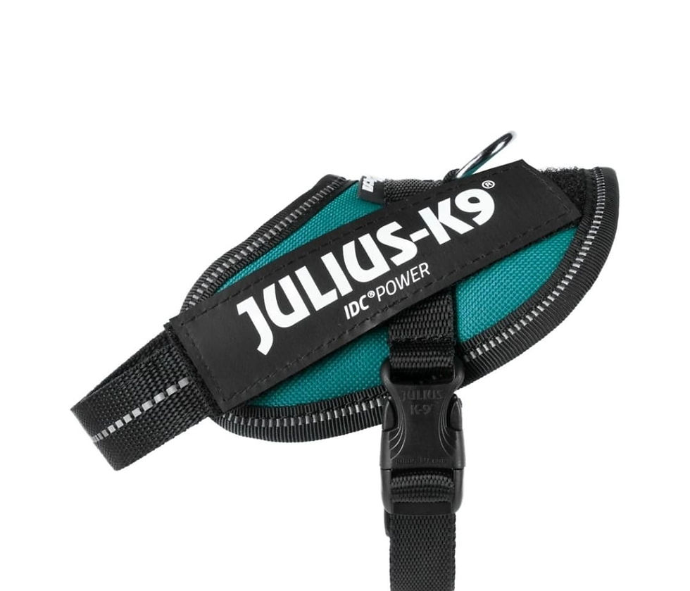 Thumbnail: JULIUS K9 IDC POWER HARNESS