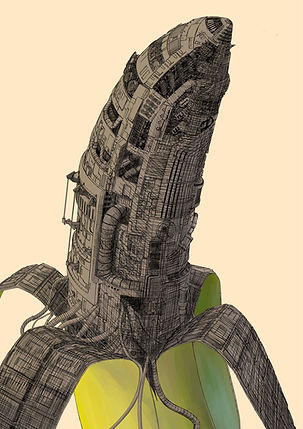 S__21258244.jpg