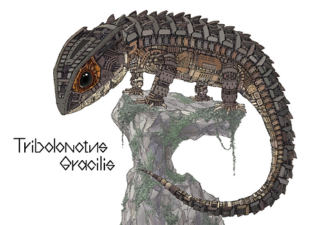イラスト128.png