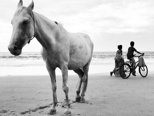 Goa, as seen in black & white
