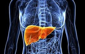 Lowering Cholesterol through Herbal Medicine and Naturopathy