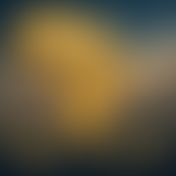 Développement, croissance, stratégie, gouvernance, culture : un éclairage transversal sur les grands enjeux d’un continent en transformation