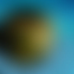 Le financement du numérique, au cœur des préoccupations de l’Afrique