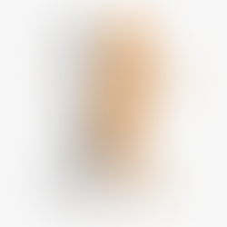 Tout Ce Que Vous Devez Savoir Pour Devenir Un Mentor | CEO Afrique