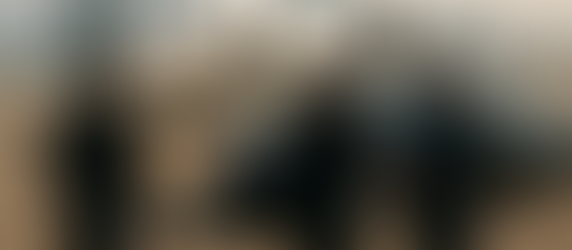 Millionnaires et milliardaires d’Afrique : qui sont-ils, où vivent-ils et comment prospèrent-ils ?