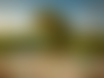 L’Afrique face au défi de la durabilité : entre ambitions locales et normes environnementales internationales