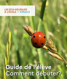 guide éco élèves.jpeg