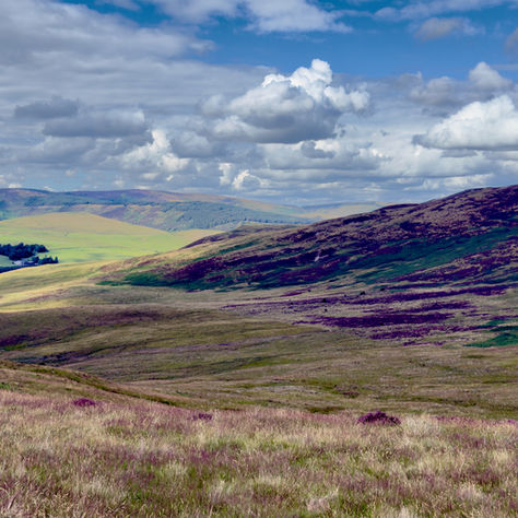 ༄ Find Stillness in the Scottish Borders: Meditation and Mindful Retreat                             at The Scullery ༄