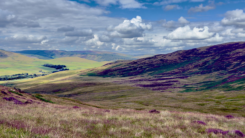 ༄ Find Stillness in the Scottish Borders: Meditation and Mindful Retreat                             at The Scullery ༄