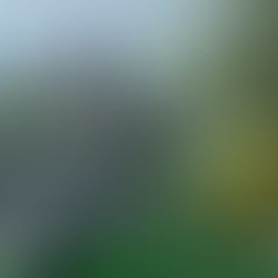 Introducing the Yarrow Hall 2026 Calendar