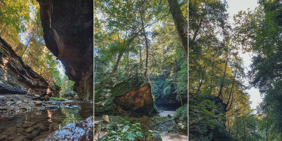 turkey run state park indiana hiking camping