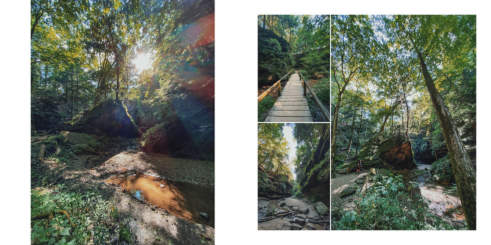 turkey run state park indiana hiking camping