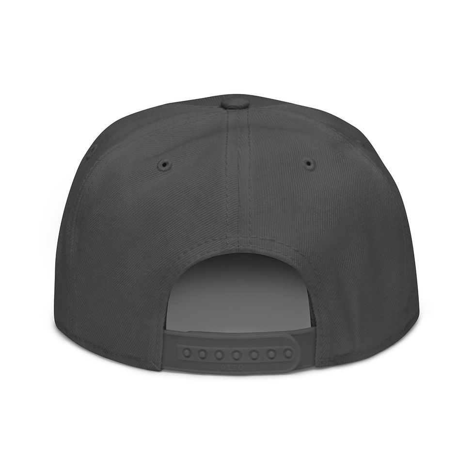 Thumbnail: Wild Snapback - Night Heron