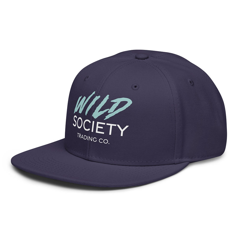 Thumbnail: Wild Snapback Hat - Navy / Wild Cyan