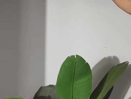 🔥 真的被Kalia罗马帘惊艳到了