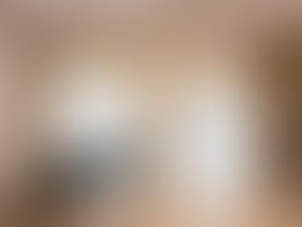 波士顿高层高豪宅案例 | 亚麻布帘的完美落地