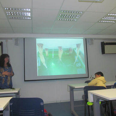 יום עיון במרכז וולקני לכתות ה. כתבו וצילמו ירון אלגזי ואבינועם לוין