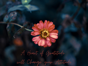 Full of Gratitude or  Attitude? :)