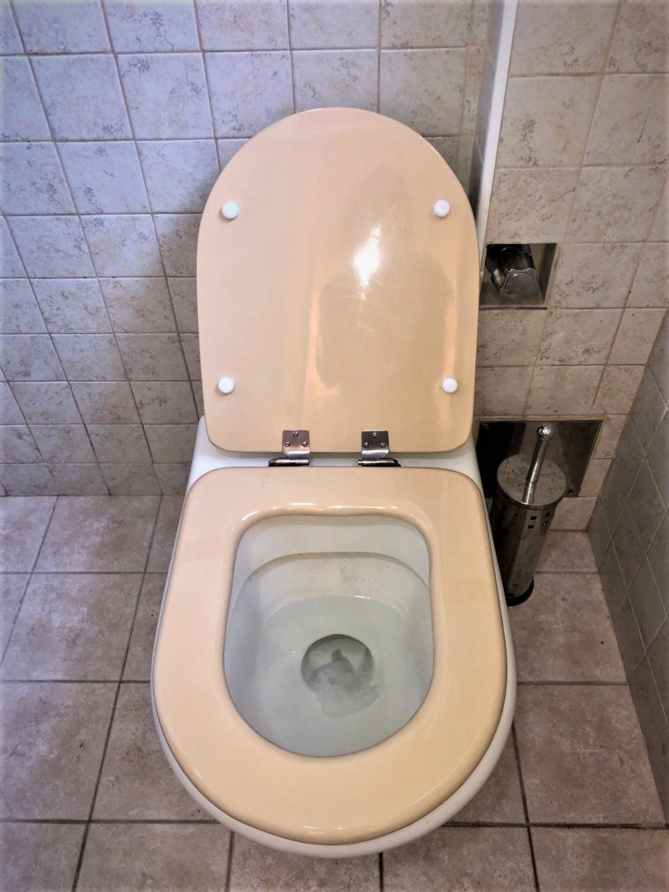 POR PEDIDO Tapa para inodoro Premium