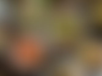 28日(土)ベトナムのおかって