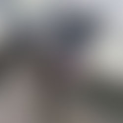 Paten für Tani gesucht!