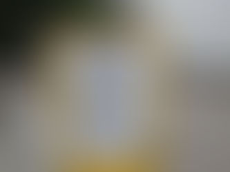 Wünsche werden wahr zu Weihnachten