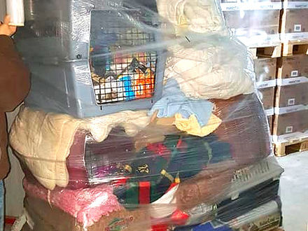 Futterspenden an spanisches Tierheim