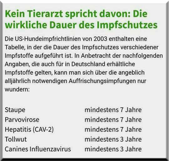 Jährliche Tierimpfungen sind überflüssig