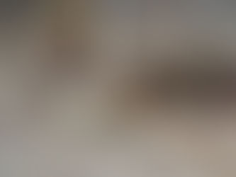 Hungernde Straßenkatzen in Mönchengladbach