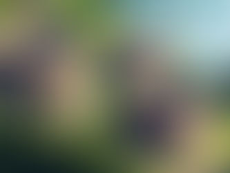 Revelan complejo arqueológico Chachapoya oculto en la selva de Perú