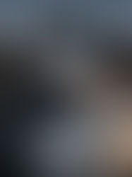 El terruqueo en las elecciones 2026
