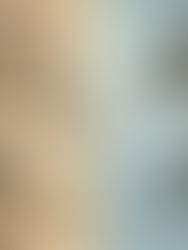 Pintura y cine: tensiones en la construcción de la imagen