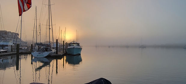 20221207_071637.jpg