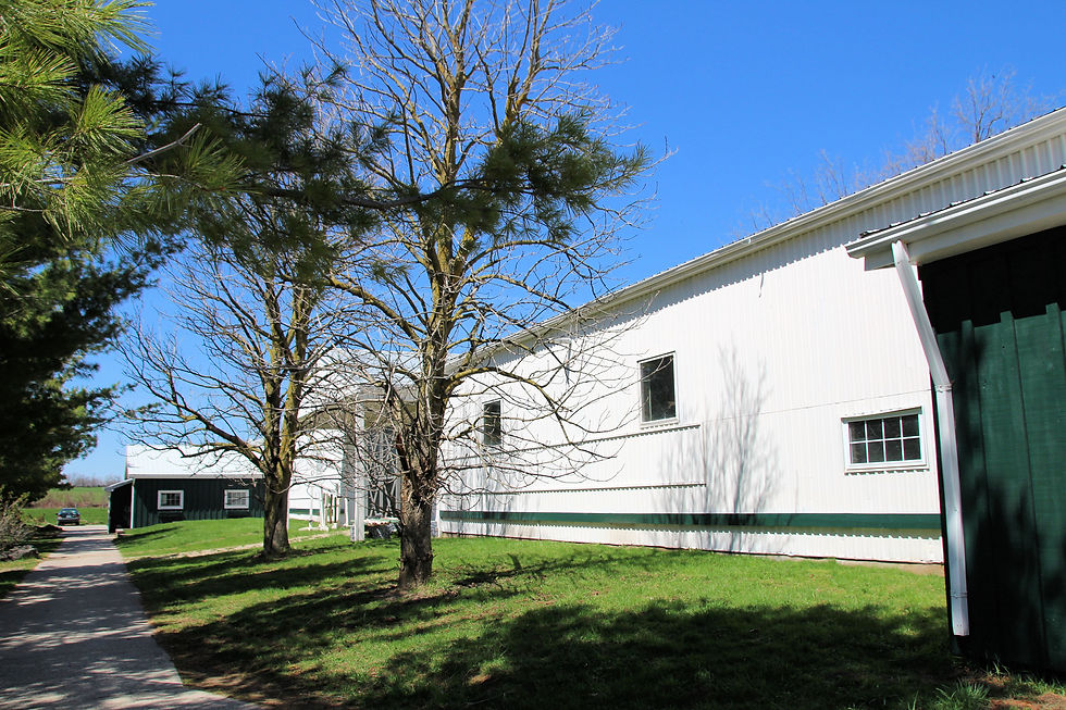 Stables and Arena
